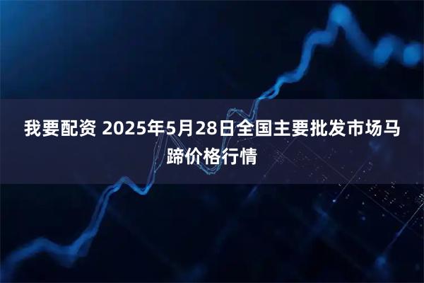 我要配资 2025年5月28日全国主要批发市场马蹄价格行情