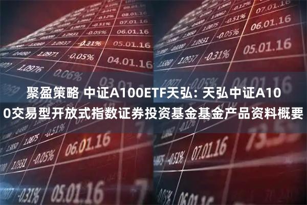 聚盈策略 中证A100ETF天弘: 天弘中证A100交易型开放式指数证券投资基金基金产品资料概要