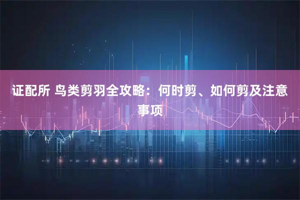 证配所 鸟类剪羽全攻略：何时剪、如何剪及注意事项