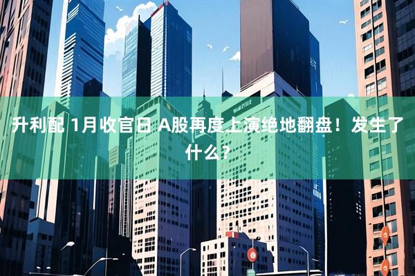 升利配 1月收官日 A股再度上演绝地翻盘!发生了什么?