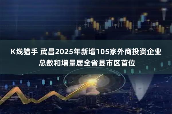 K线猎手 武昌2025年新增105家外商投资企业 总数和增量居全省县市区首位