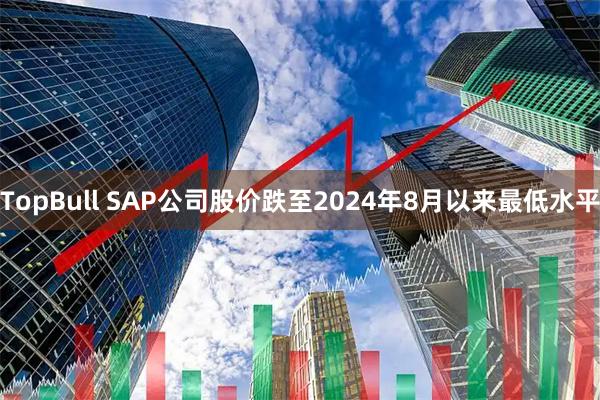 TopBull SAP公司股价跌至2024年8月以来最低水平